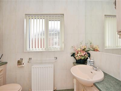 Picture 23